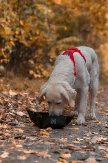 Trekking bowl (opvouwbare voer-/waterbak)