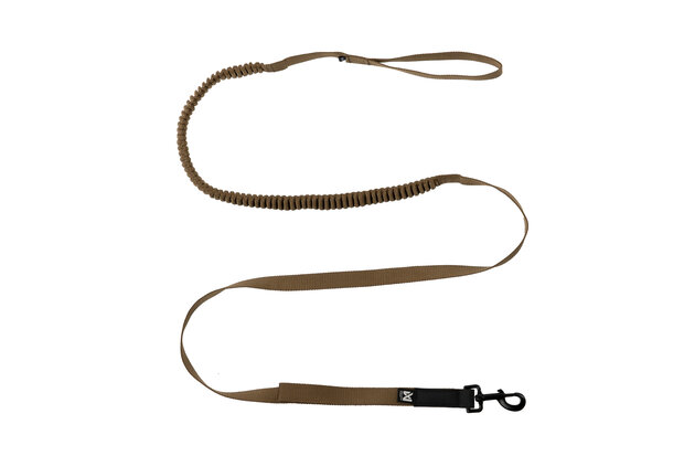 Touring bungee leash WD