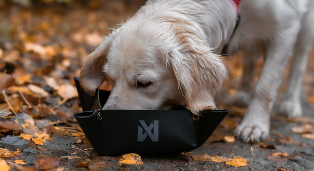 Trekking bowl (opvouwbare voer-/waterbak)