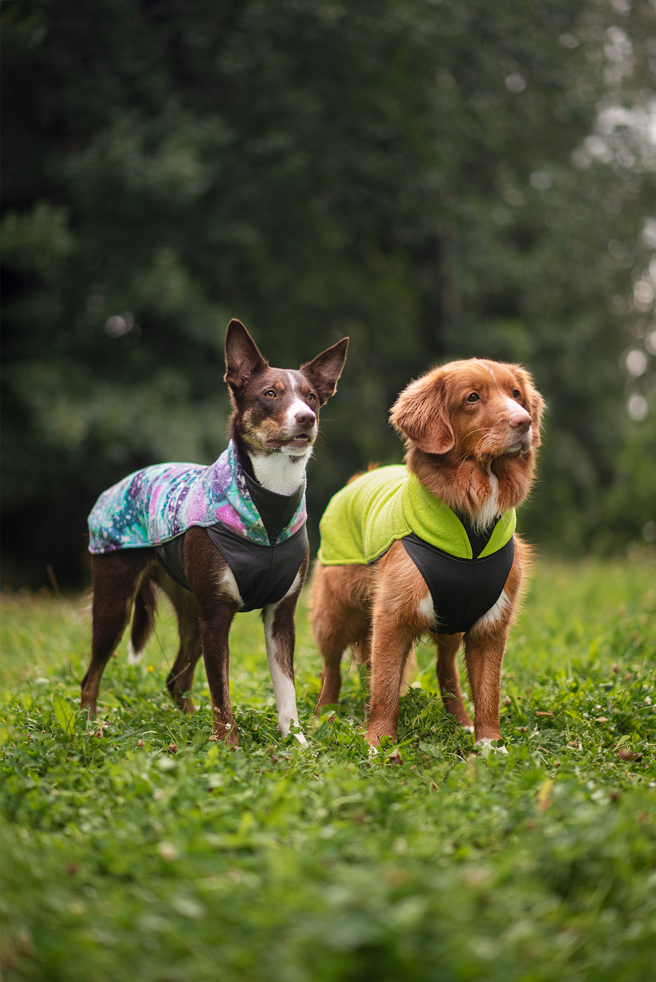 JumppaPomppa Lime isolerende sweater hondenjas Drookit Dogs